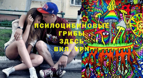 амф Кукмор