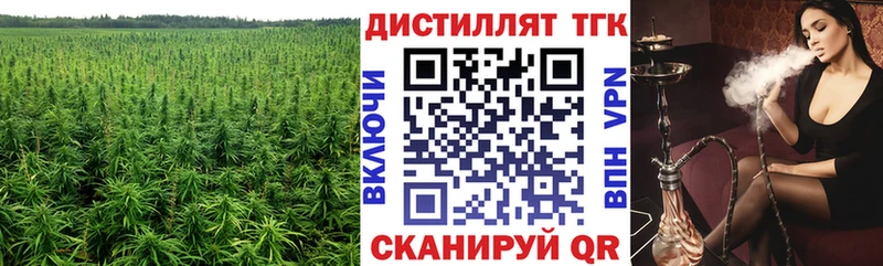 закладка  Ахтырский  ТГК концентрат 